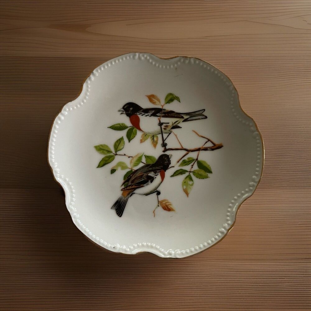 Vintage Rose-Breasted Grosbeak Bird Plate Gold Rim 6" Decorative